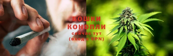 2c-b Бронницы