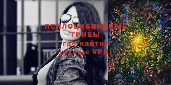 2c-b Бронницы