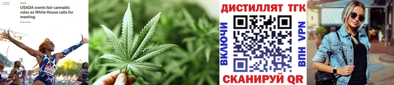 ТГК THC oil  Купить закладки  Кандалакша 