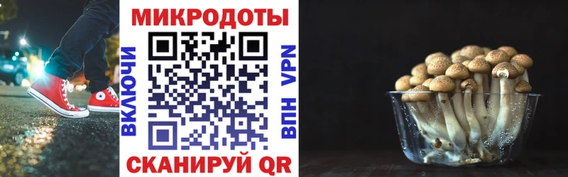 Галлюциногенные грибы мухоморы  Купить  Кандалакша 